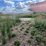 cerdp-boulogne-ile-seguin-19