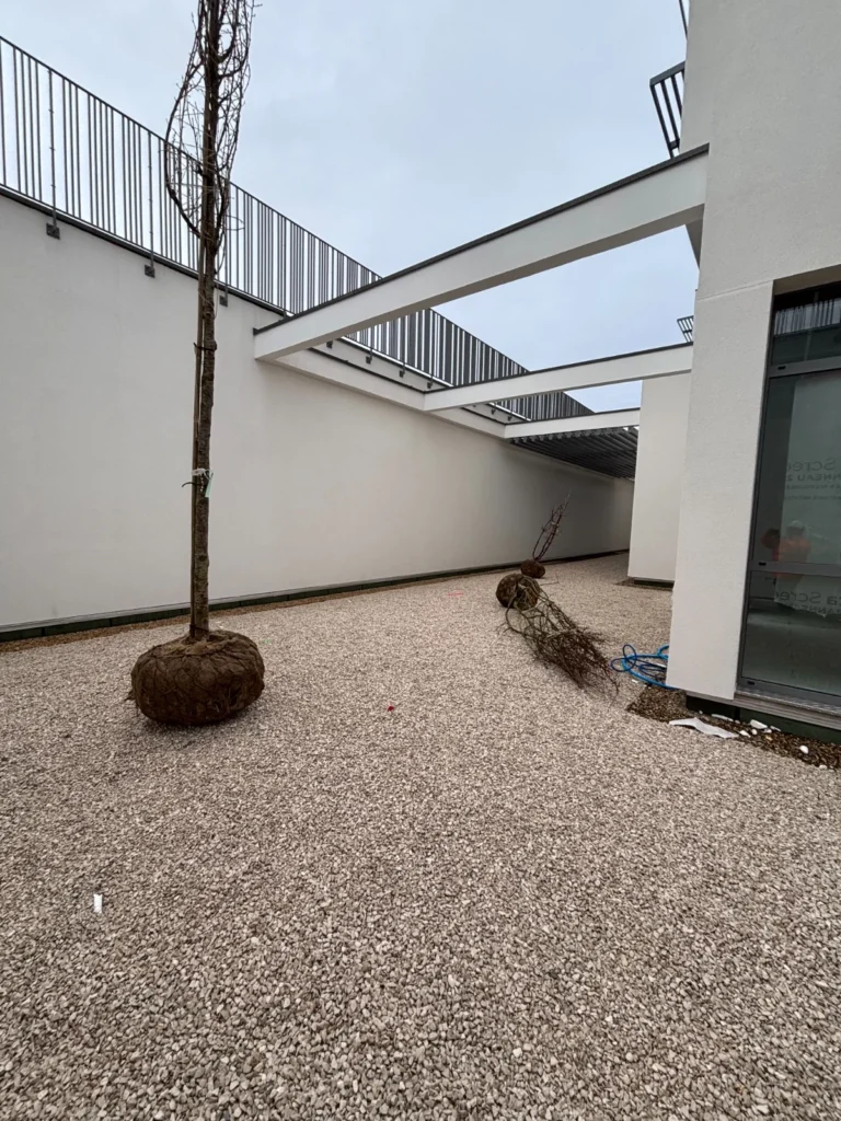 Aménagements extérieurs de la maison médicale d&rsquo;Ermont