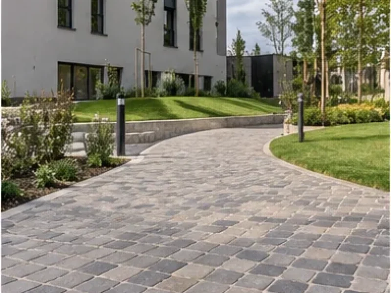 cerdp-maconnerie-paysagere-03-allee-pavee